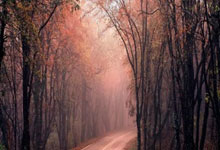 B体育：总台记者观察丨美俄会谈绕开欧洲引担忧 欧洲反思战略自主与对美依赖.