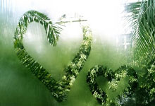 [亚冬会]男子冰球A组：泰国0-8中国 集锦.