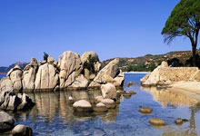 新华社权威速览｜中央一号文件划重点，2025年“三农”工作这么干.